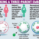 Illustration for article titled Monkeys Born Of Three Parents Usher In The Age Of The Super-Baby